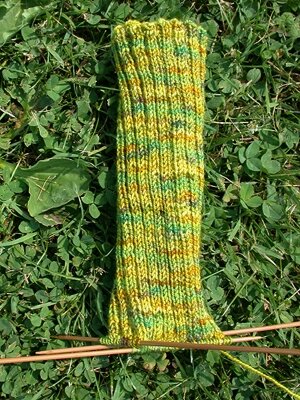 Sockalicious_ribbed.jpg